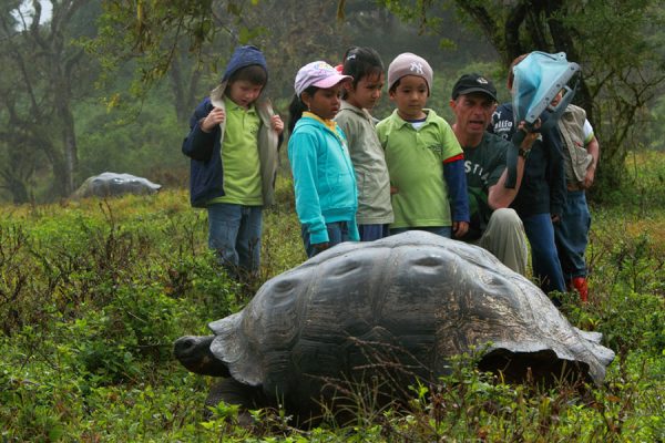 Projects-Giant-Tortoise-Education-cChristian-Ziegler
